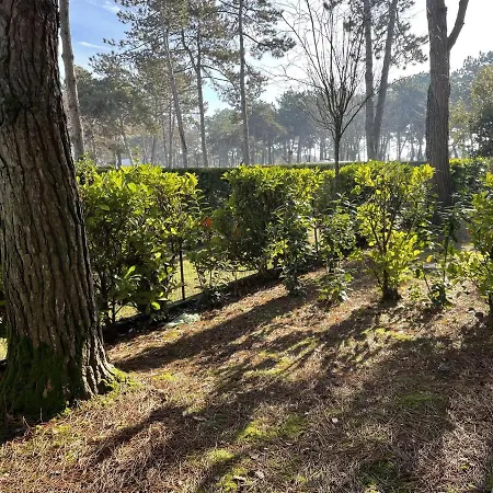 Appartement Gemini - Gemini